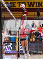Photo from the gallery "Eaton @ Windsor"