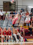 Photo from the gallery "Eaton @ Windsor"