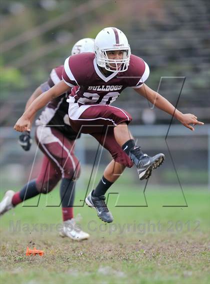 Thumbnail 1 in RHAM @ Bulkeley photogallery.