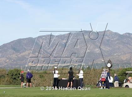 Thumbnail 1 in CIF State Girls Golf Championships photogallery.