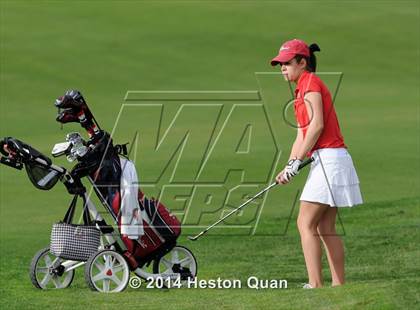 Thumbnail 2 in CIF State Girls Golf Championships photogallery.