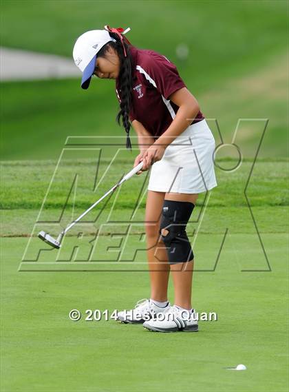 Thumbnail 1 in CIF State Girls Golf Championships photogallery.