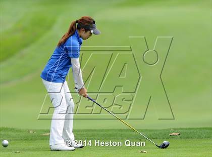 Thumbnail 1 in CIF State Girls Golf Championships photogallery.