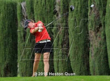 Thumbnail 2 in CIF State Girls Golf Championships photogallery.