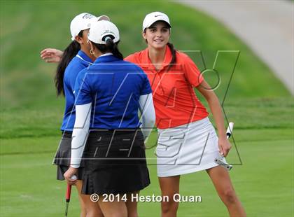 Thumbnail 1 in CIF State Girls Golf Championships photogallery.