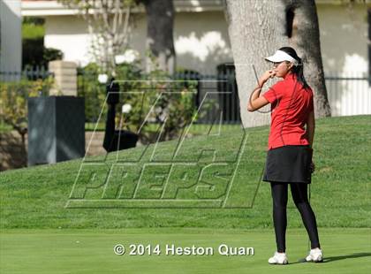 Thumbnail 1 in CIF State Girls Golf Championships photogallery.