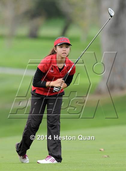 Thumbnail 1 in CIF State Girls Golf Championships photogallery.