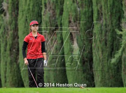 Thumbnail 2 in CIF State Girls Golf Championships photogallery.