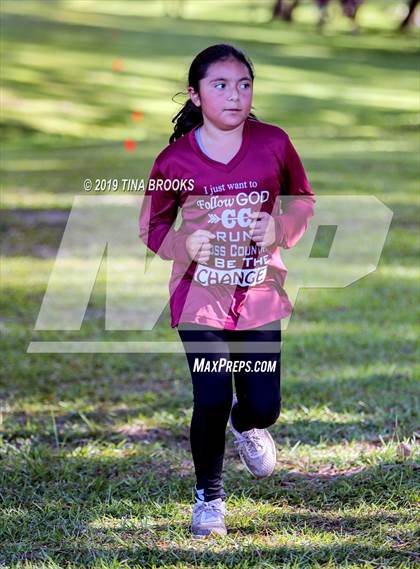 Thumbnail 3 in Coastal Cross Country Meet photogallery.