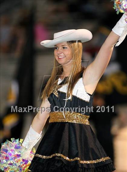 Thumbnail 1 in Crandall @ North Forney photogallery.