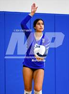 Photo from the gallery "Out-of-Door Academy @ Lakewood Ranch Preparatory Academy"
