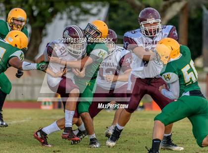 Thumbnail 3 in Marshall @ Holmes photogallery.