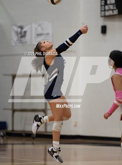 Thumbnail 3 in Shoemaker @ Bryan photogallery.