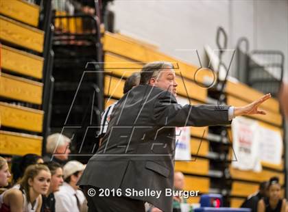 Thumbnail 1 in Stamford vs Fairfield Warde (FCIAC Final) photogallery.