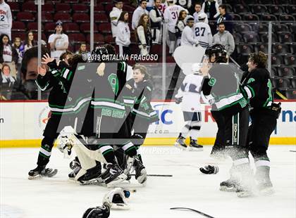 Thumbnail 2 in Ridge @ Randolph (NJSIAA Public B Final) photogallery.