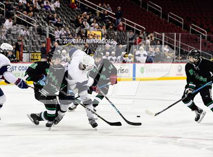 Thumbnail 1 in Ridge @ Randolph (NJSIAA Public B Final) photogallery.