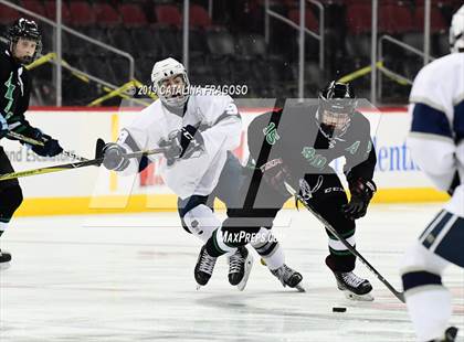 Thumbnail 2 in Ridge @ Randolph (NJSIAA Public B Final) photogallery.