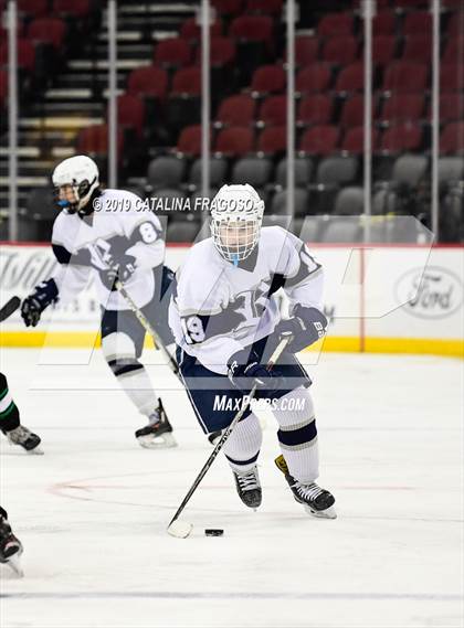 Thumbnail 1 in Ridge @ Randolph (NJSIAA Public B Final) photogallery.