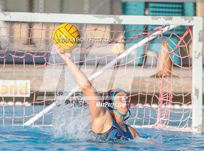 Thumbnail 2 in Santa Cruz @ Christopher photogallery.
