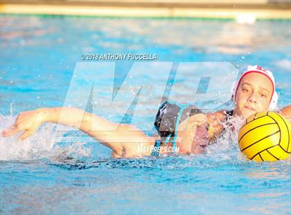 Thumbnail 1 in Santa Cruz @ Christopher photogallery.