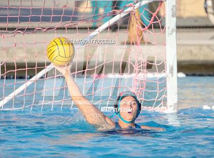 Thumbnail 1 in Santa Cruz @ Christopher photogallery.