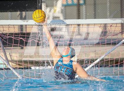 Thumbnail 3 in Santa Cruz @ Christopher photogallery.