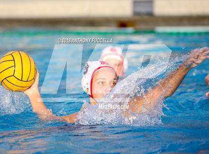 Thumbnail 1 in Santa Cruz @ Christopher photogallery.