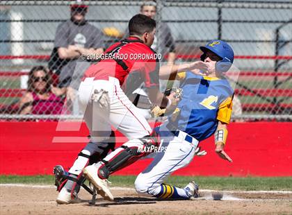 Thumbnail 1 in Linden @ Ripon photogallery.