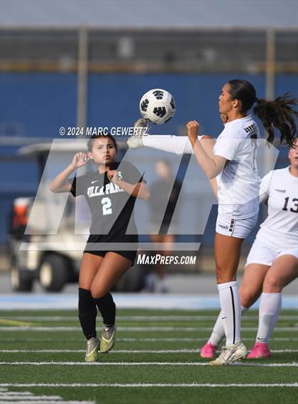 Thumbnail 3 in Esperanza @ Villa Park photogallery.