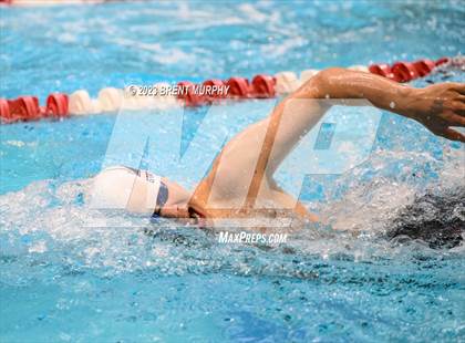 Thumbnail 3 in CHSAA 4A Boys Swimming - State Championship photogallery.