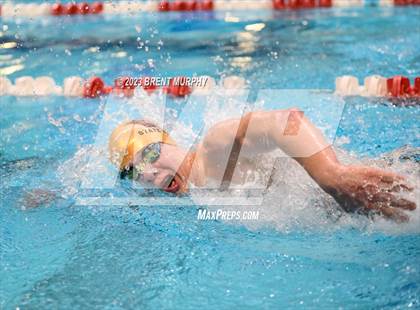 Thumbnail 1 in CHSAA 4A Boys Swimming - State Championship photogallery.