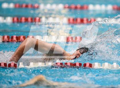 Thumbnail 1 in CHSAA 4A Boys Swimming - State Championship photogallery.