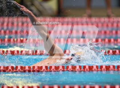 Thumbnail 3 in CHSAA 4A Boys Swimming - State Championship photogallery.