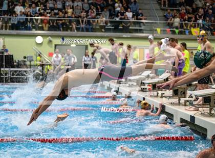 Thumbnail 3 in CHSAA 4A Boys Swimming - State Championship photogallery.