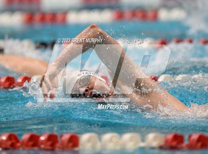Thumbnail 3 in CHSAA 4A Boys Swimming - State Championship photogallery.