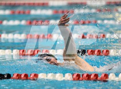 Thumbnail 2 in CHSAA 4A Boys Swimming - State Championship photogallery.