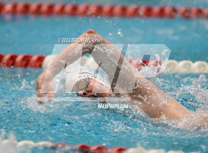 Thumbnail 2 in CHSAA 4A Boys Swimming - State Championship photogallery.
