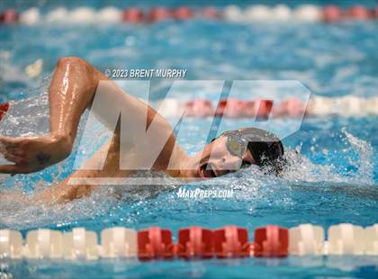 Thumbnail 1 in CHSAA 4A Boys Swimming - State Championship photogallery.