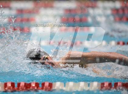 Thumbnail 1 in CHSAA 4A Boys Swimming - State Championship photogallery.