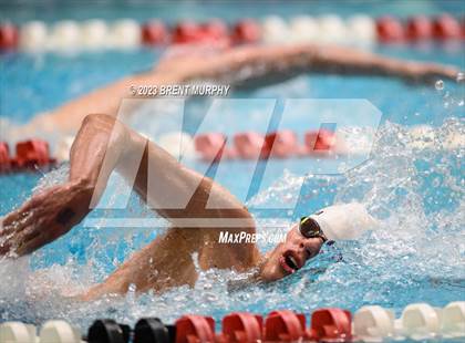 Thumbnail 1 in CHSAA 4A Boys Swimming - State Championship photogallery.