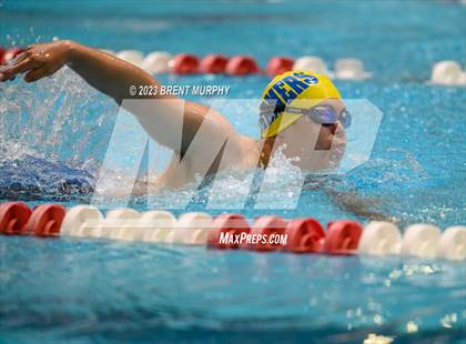 Thumbnail 3 in CHSAA 4A Boys Swimming - State Championship photogallery.
