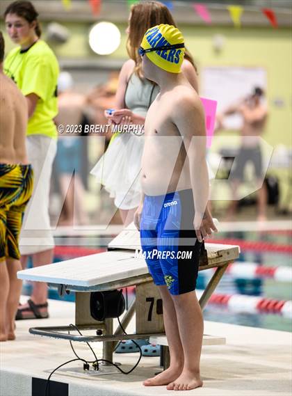 Thumbnail 2 in CHSAA 4A Boys Swimming - State Championship photogallery.