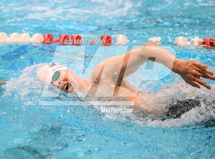 Thumbnail 3 in CHSAA 4A Boys Swimming - State Championship photogallery.