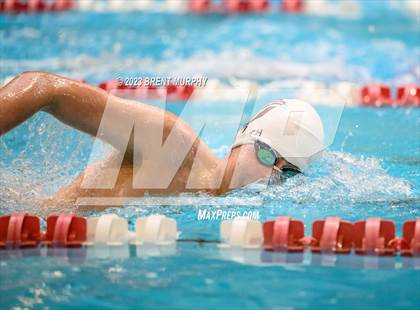 Thumbnail 1 in CHSAA 4A Boys Swimming - State Championship photogallery.