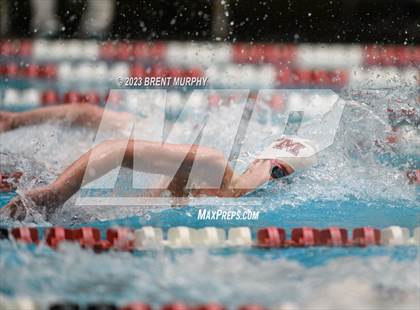 Thumbnail 1 in CHSAA 4A Boys Swimming - State Championship photogallery.