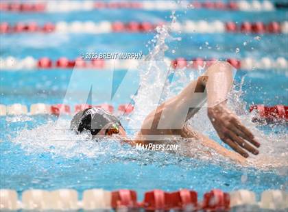 Thumbnail 1 in CHSAA 4A Boys Swimming - State Championship photogallery.