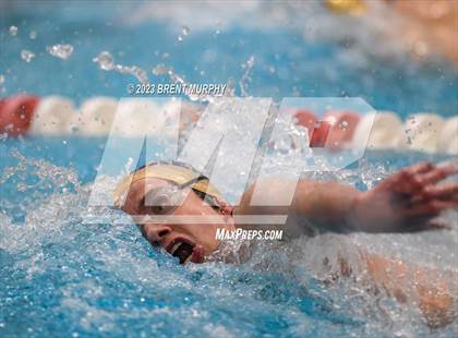 Thumbnail 2 in CHSAA 4A Boys Swimming - State Championship photogallery.