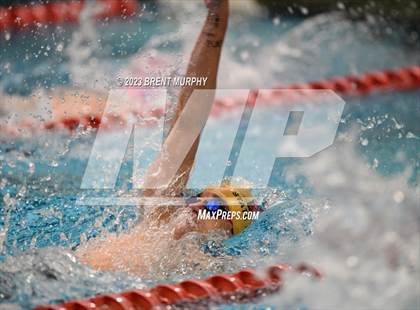 Thumbnail 3 in CHSAA 4A Boys Swimming - State Championship photogallery.