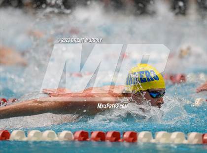Thumbnail 1 in CHSAA 4A Boys Swimming - State Championship photogallery.