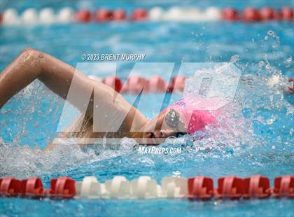 Thumbnail 3 in CHSAA 4A Boys Swimming - State Championship photogallery.